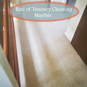 carpet clean mayfair